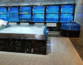 海鮮魚缸LY-04